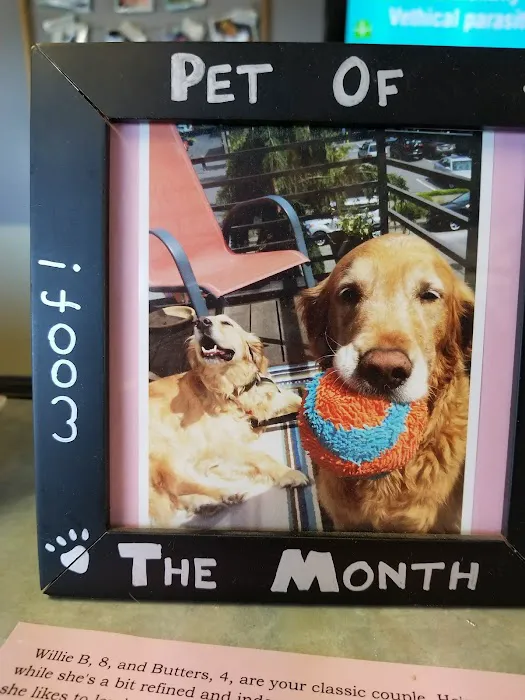 VCA Magnolia Animal Hospital Picture 3