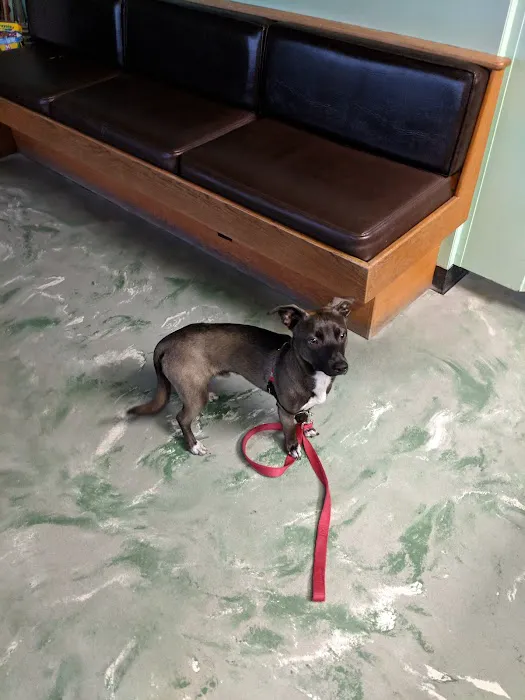Ballard Animal Hospital Picture 2