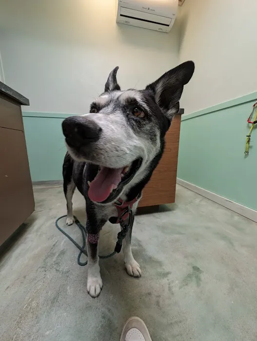 Ballard Animal Hospital Picture 10