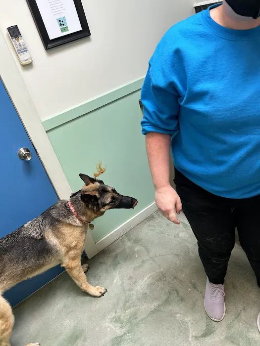 Ballard Animal Hospital Picture 8