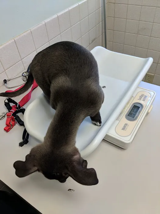 Ballard Animal Hospital Picture 6