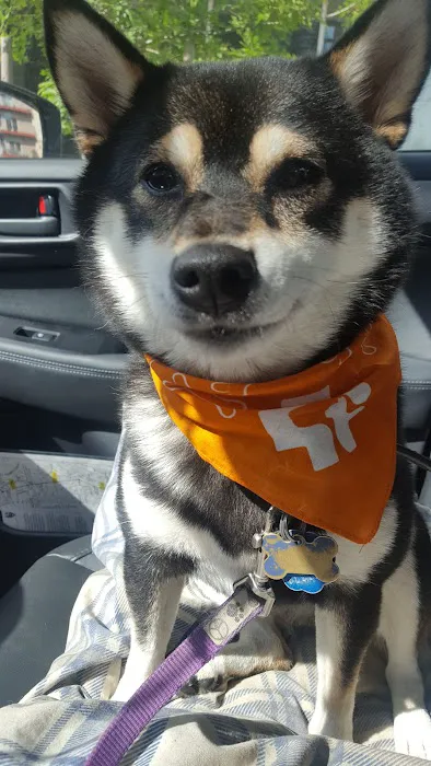 Banfield Pet Hospital Picture 2