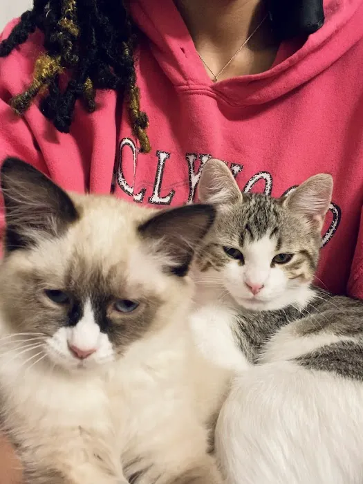 The Family Pet Veterinary Hospital Picture 6