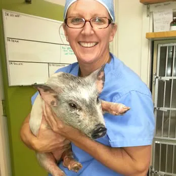 The Family Pet Veterinary Hospital Picture 7