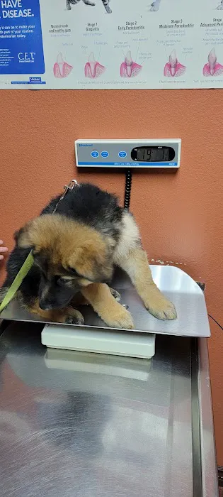 Mercy Animal Medical Center Picture 9