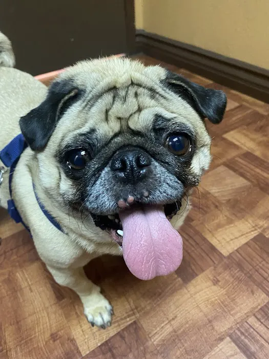 Mercy Animal Medical Center Picture 6