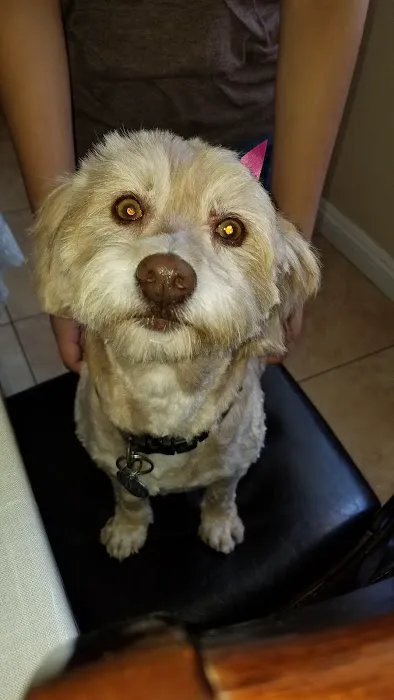 Mercy Animal Medical Center Picture 8