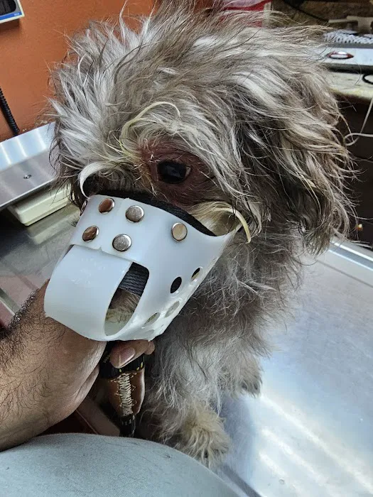 Mercy Animal Medical Center Picture 1