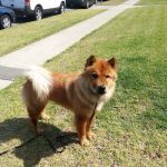 Vetco Total Care Animal Hospital
