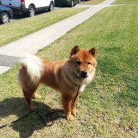Vetco Total Care Animal Hospital ico