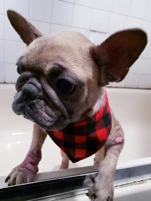 Vetco Total Care Animal Hospital Picture 3
