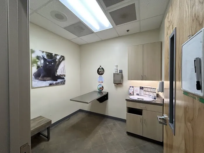 Vetco Total Care Animal Hospital Picture 8