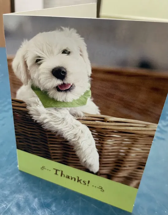 Parkview Pet Hospital - Long Beach Picture 5