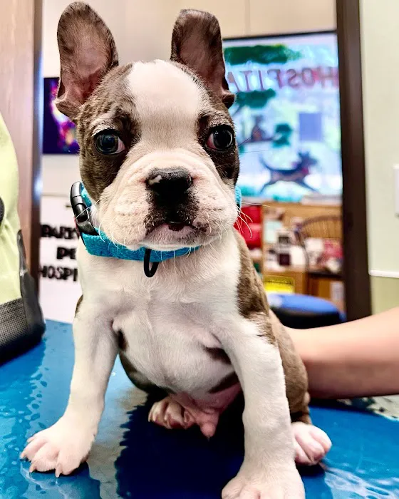 Parkview Pet Hospital - Long Beach Picture 2