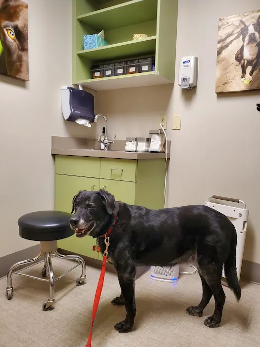 Northwest Veterinary Hospital Picture 1