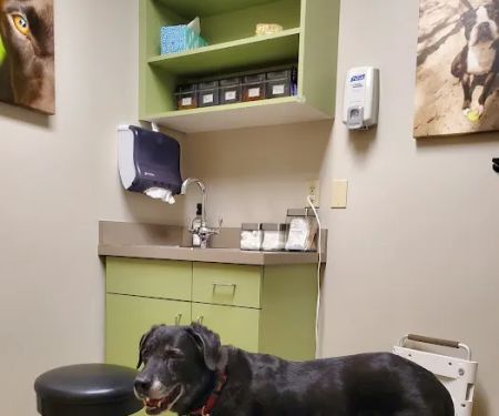 Northwest Veterinary Hospital