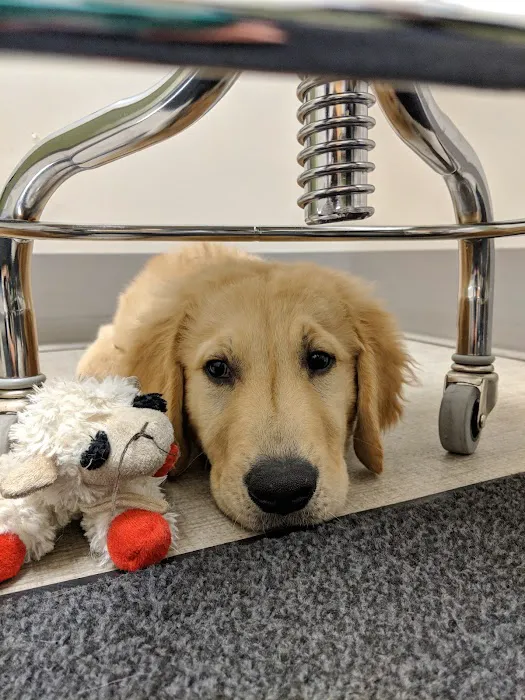 Northwest Veterinary Hospital Picture 9
