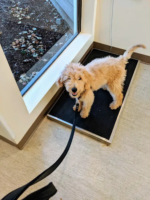 Green Lake Animal Hospital Picture 5