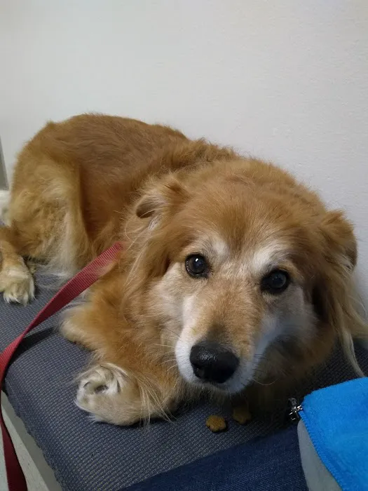 Green Lake Animal Hospital Picture 6