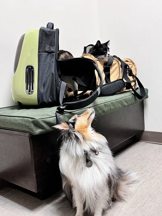 Green Lake Animal Hospital Picture 10