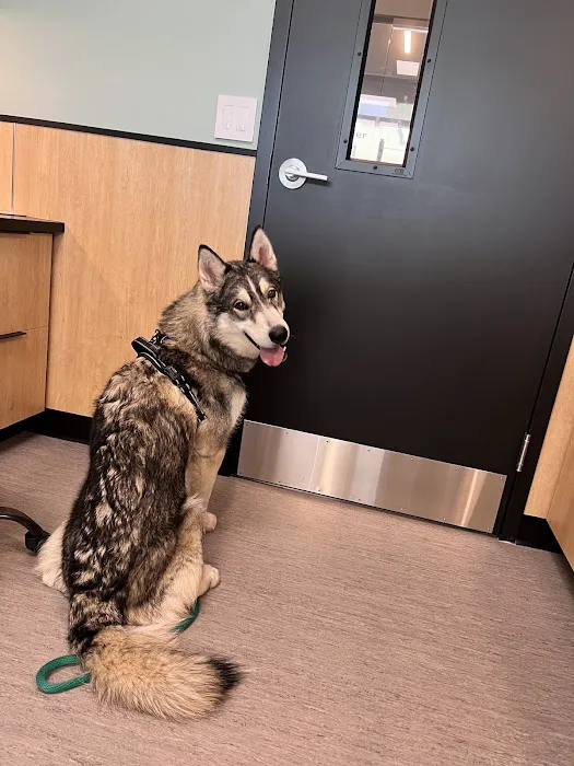 Roosevelt Animal Hospital Picture 2