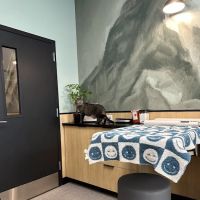 Roosevelt Animal Hospital ico