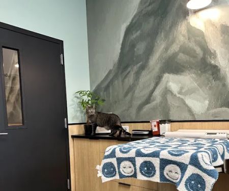 Roosevelt Animal Hospital