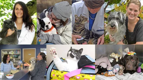 Hawthorne Hills Veterinary Hospital Picture 3