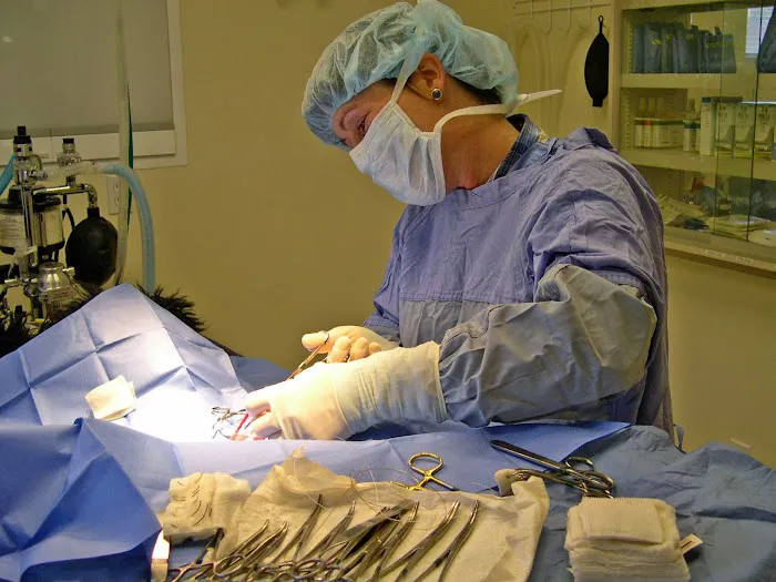 Hawthorne Hills Veterinary Hospital Picture 6