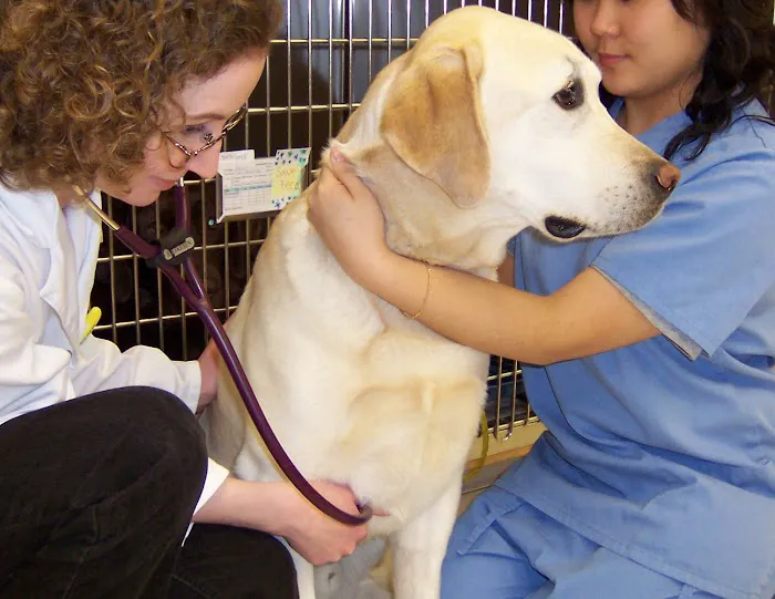 Hawthorne Hills Veterinary Hospital Picture 9