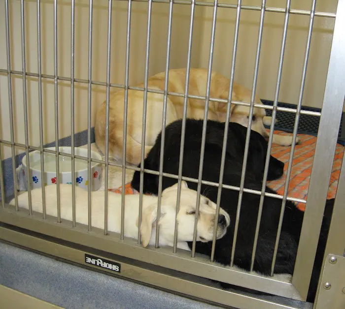 Hawthorne Hills Veterinary Hospital Picture 10