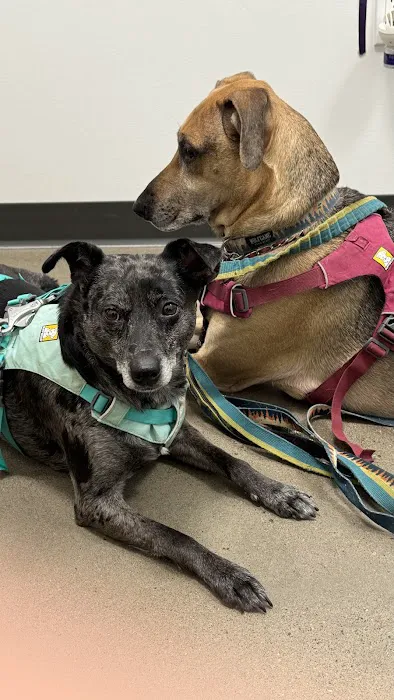 Roosevelt Station Vet Care Picture 1