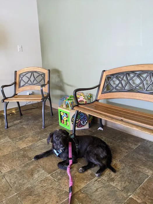 Four Paws Veterinary Center Picture 2
