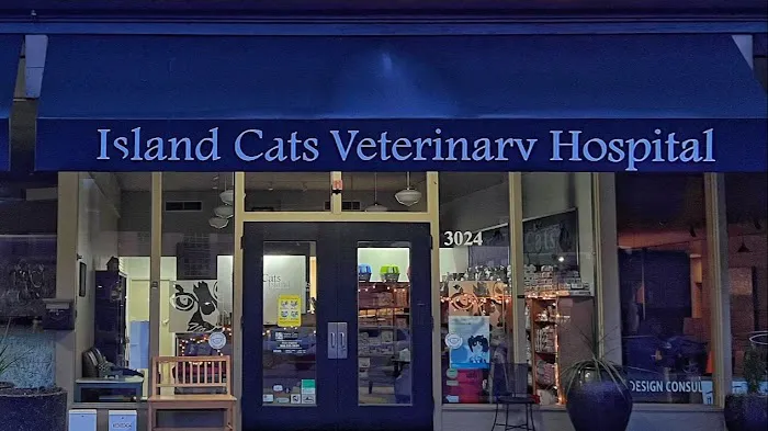 Island Cats Veterinary Hospital Picture 9