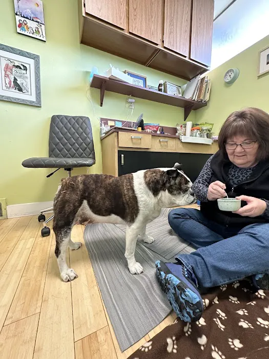 Healing Pets Acupuncture Picture 9
