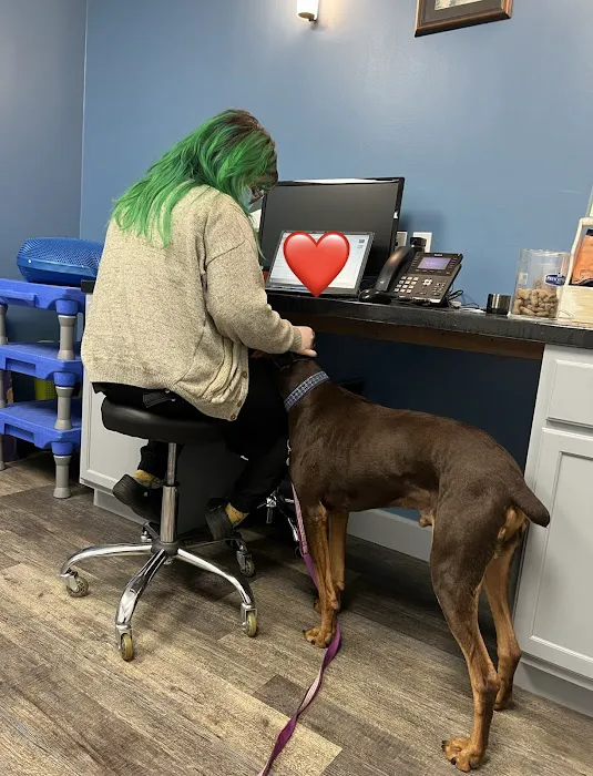 Mercer Island Veterinary Clinic Picture 4
