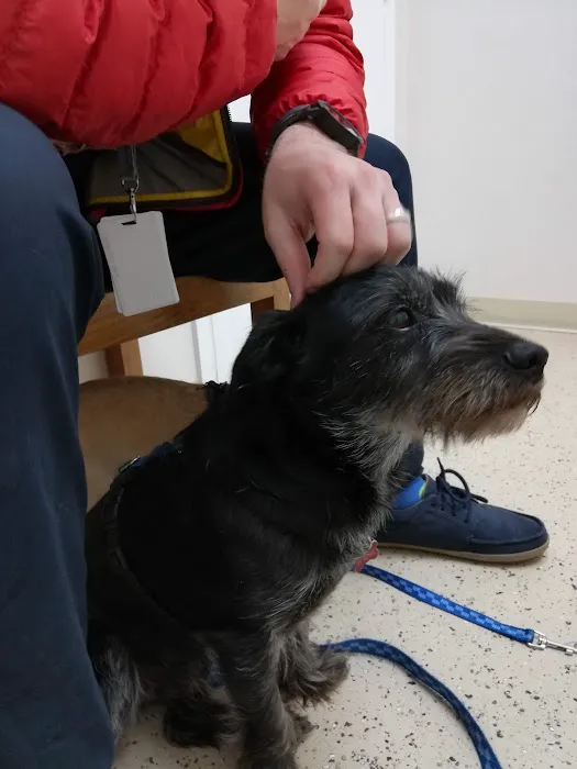 Mercy Vet Picture 2