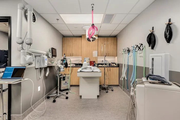 Island Animal Hospital and Urgent Care Services Picture 7