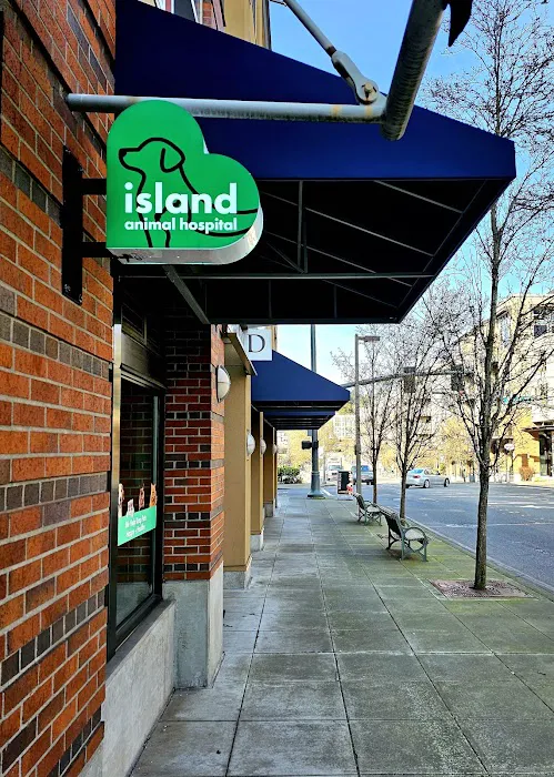 Island Animal Hospital and Urgent Care Services Picture 4