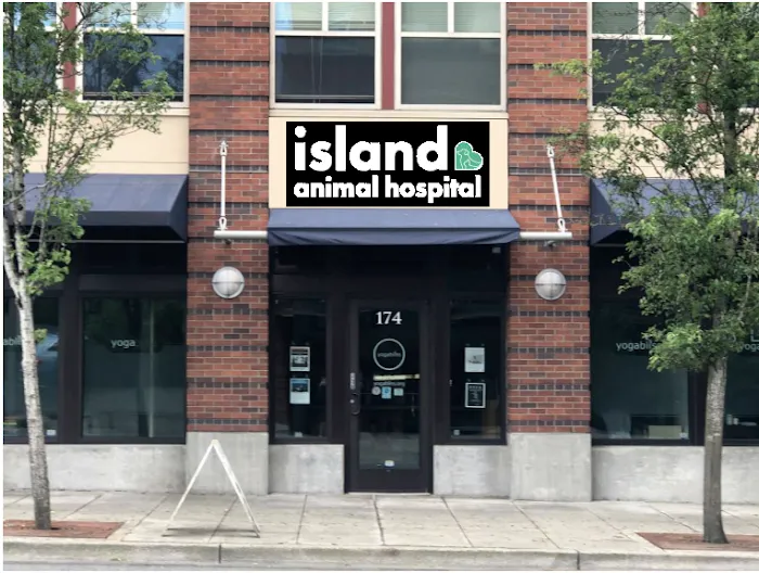 Island Animal Hospital and Urgent Care Services Picture 10
