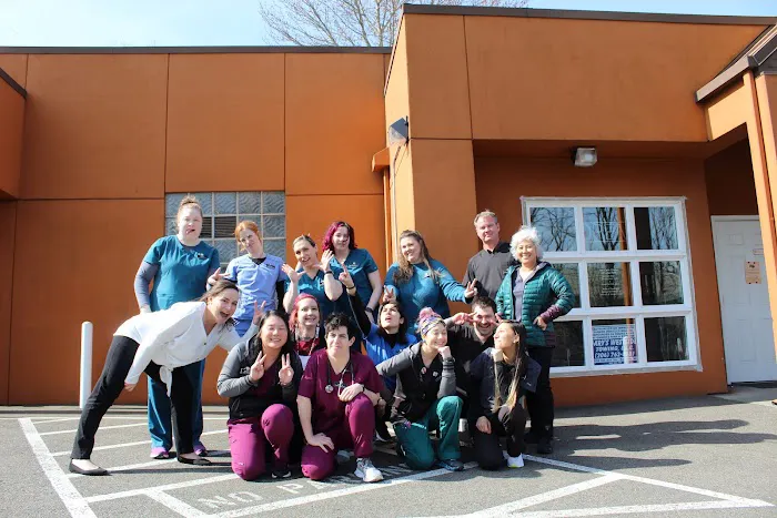 Pet Care Center at Luna Park Picture 5