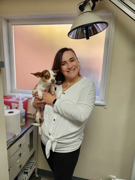 Pet Care Center at Luna Park Picture 9