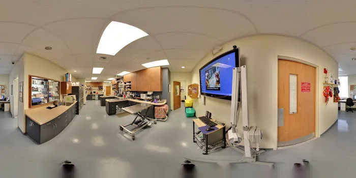 Lien Animal Clinic, A Thrive Pet Healthcare Partner Picture 5