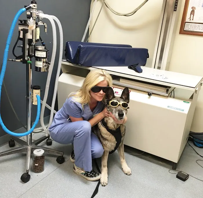 Lien Animal Clinic, A Thrive Pet Healthcare Partner Picture 6