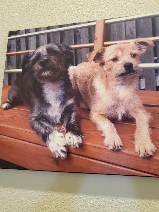 West Seattle Animal Hospital Picture 3