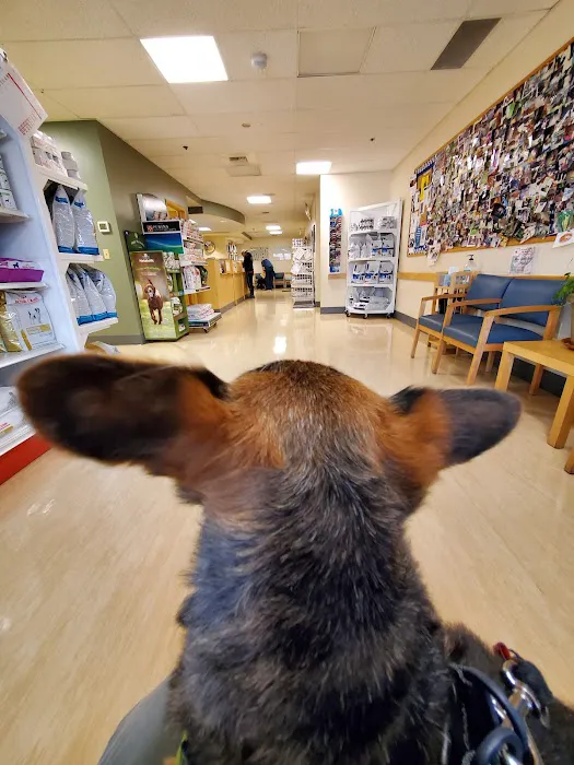West Seattle Animal Hospital Picture 6