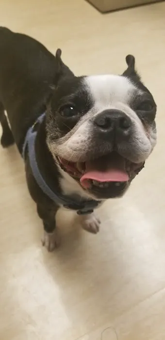 West Seattle Animal Hospital Picture 5