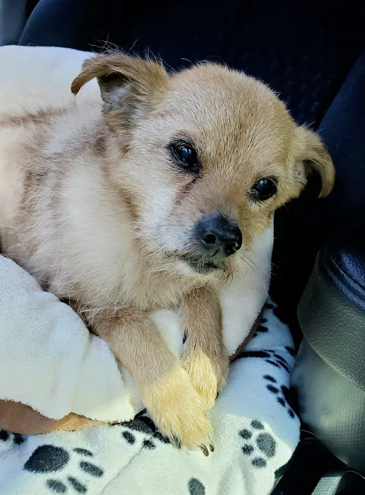West Seattle Animal Hospital Picture 4