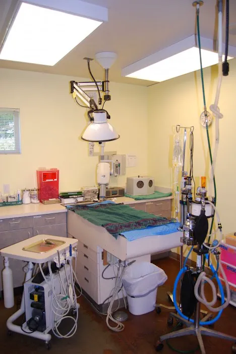 VCA West Seattle Veterinary Hospital Picture 7