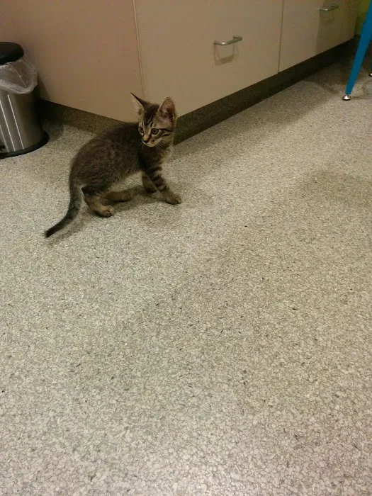 Cascade Heights Veterinary Center Picture 7